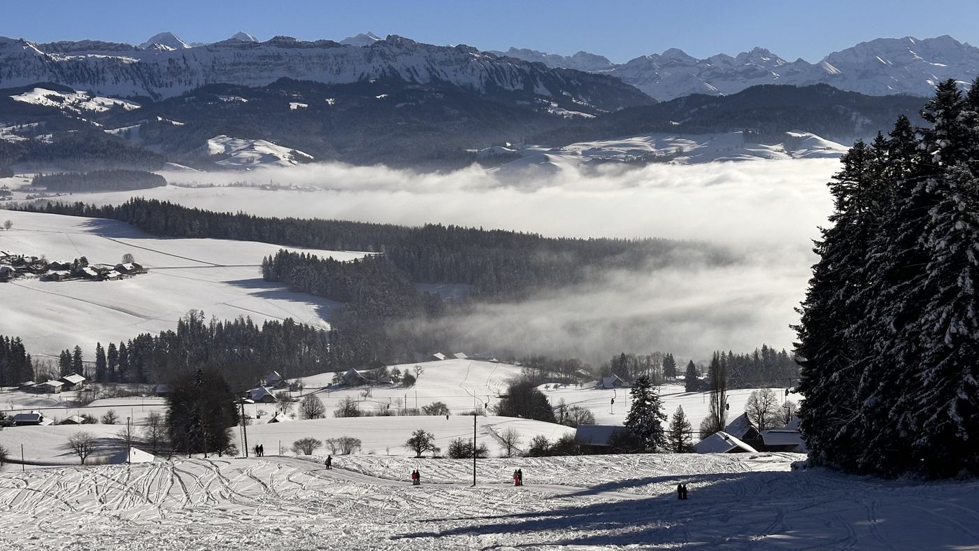 Piste mit Blick über Wald und Nebel auf die Berge