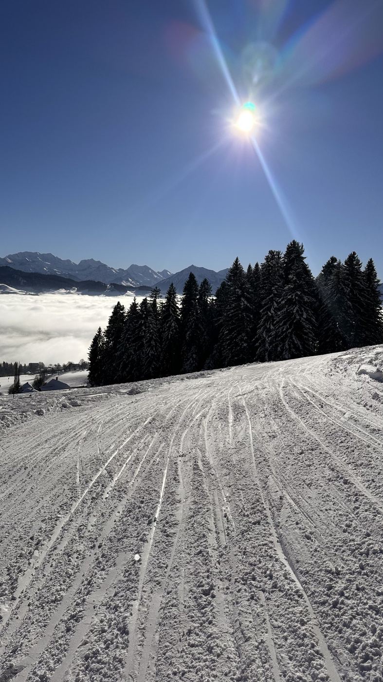 Präparierte Piste, Tannen und Sonne über dem Nebelmeer